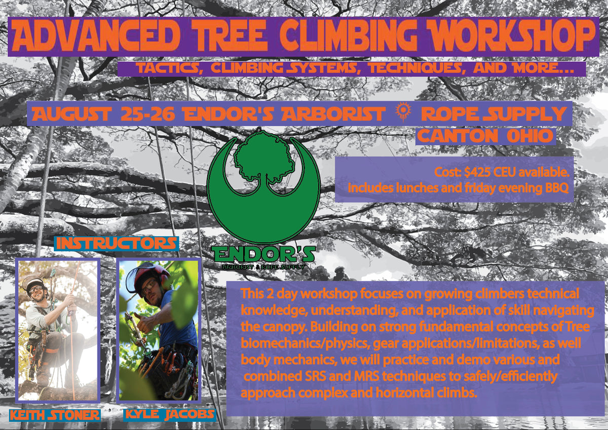 Advanced Tree Climbing Workshop by Keith Stoner & Kyle Jacobs